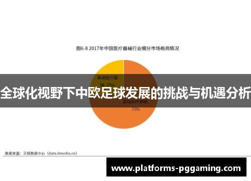 全球化视野下中欧足球发展的挑战与机遇分析