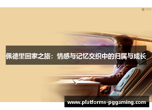 佩德里回家之旅：情感与记忆交织中的归属与成长