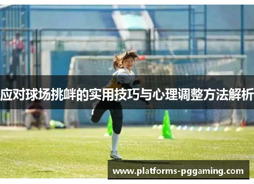 应对球场挑衅的实用技巧与心理调整方法解析