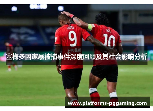 塞梅多因家暴被捕事件深度回顾及其社会影响分析