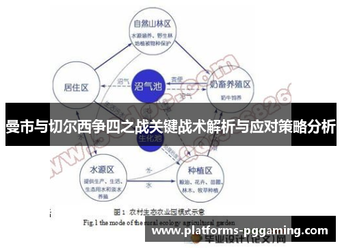 曼市与切尔西争四之战关键战术解析与应对策略分析