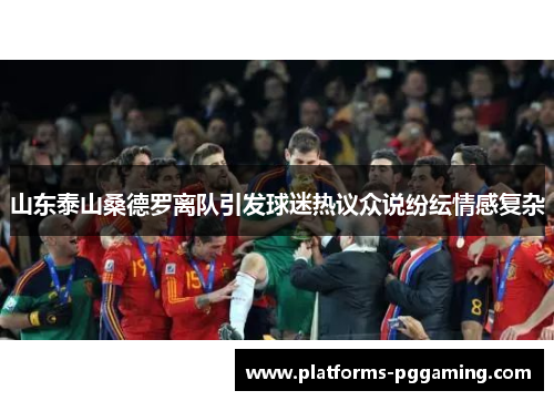 山东泰山桑德罗离队引发球迷热议众说纷纭情感复杂