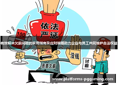 有效解决欠薪问题的实用指南及应对策略助力企业与员工共同维护合法权益