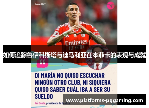 如何追踪鲁伊科斯塔与迪马利亚在本菲卡的表现与成就