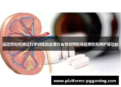 运动员如何通过科学训练和合理饮食有效预防肾脏损伤和保护肾功能
