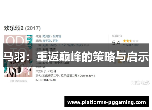马羽：重返巅峰的策略与启示