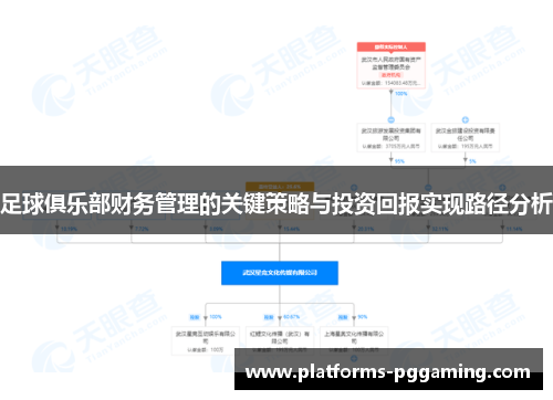 足球俱乐部财务管理的关键策略与投资回报实现路径分析 足球俱乐部财务管理的关键策略与投资回报实现路径分析