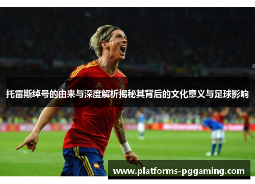 托雷斯绰号的由来与深度解析揭秘其背后的文化意义与足球影响 托雷斯绰号的由来与深度解析揭秘其背后的文化意义与足球影响