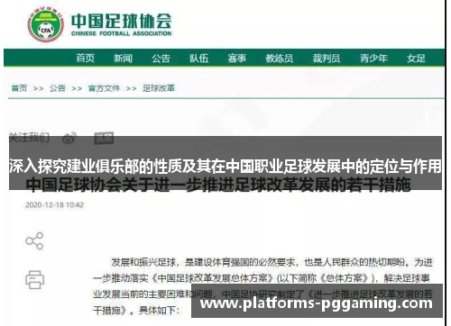 深入探究建业俱乐部的性质及其在中国职业足球发展中的定位与作用