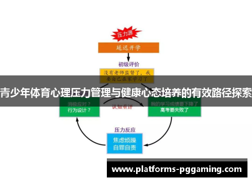 青少年体育心理压力管理与健康心态培养的有效路径探索