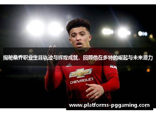 揭秘桑乔职业生涯轨迹与辉煌成就，回顾他在多特的崛起与未来潜力